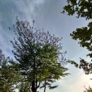 남악사지 이미지