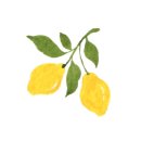 나를 본다 이미지