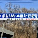 일산그레디 이미지