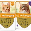 한국엘랑코동물약품(주) 이미지