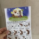 주니코기 | 강아지 하네스 추천 개인냥심 센슈얼 NFC 하네스&센슈얼 리드줄 세트 웰시코기 착용 후기