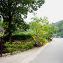 방장산자연휴양림 유아숲체험원 이미지