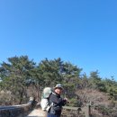 금샘횟집 | [공지] 20250309오랫만의 금정산 몸점검산행