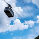 남산 곤돌라 설치공사 이미지