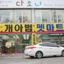 개아범펫마트 이미지