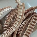 상어네 간식 이미지