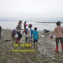 유포어촌체험마을 이미지