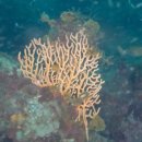 남해-315 이미지