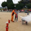 표교초등학교 이미지