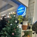 아코리스헤어드레싱
