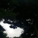 정원약국 이미지