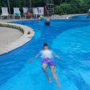 서울이용권 이미지