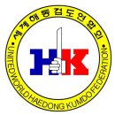 세계해동검도 이미지