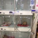 파스텔LC동물병원 이미지