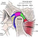 사랑니톡앤턱치과의원 이미지