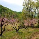 문촌1리 이미지