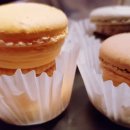 맘모스타운 이미지