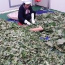 동훈푸드산업 이미지