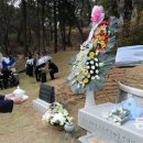 백의민족 이미지