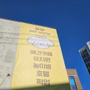 왈왈애견 | 대구왈왈애견카페쇼파천갈이후기