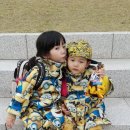 네오플랜 이미지