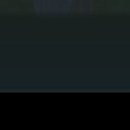 댕댕잡화점 이미지