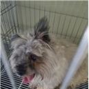 수정중로 이미지