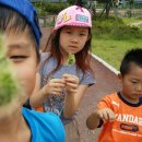 봉림평생교육센터 이미지