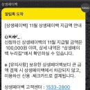 으뜸50안경 둔촌점 | 상생페이백 | 안경점에서 체크카드 결제 후기 디지털 온누리상품권 12월 연장 시행