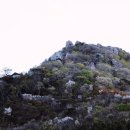 서교동천주교성당 이미지