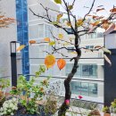 세무법인한맘 이미지