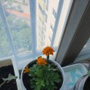 재봉기초 이미지