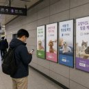 예스동물병원(출장진료전문) | 반려동물 업종 광고는 귀여움보다 신뢰가 먼저입니다