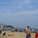 동 문 로 이미지