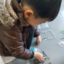 빛누리 태권도장 이미지