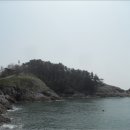 옥도면 장자도리 이미지