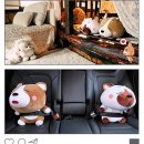 이노아이 이미지
