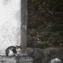 옹글다 이미지
