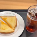 사능카 | 3월 첫째주🧏🏻‍♀️
