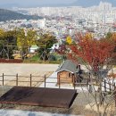 달서별빛캠프 캠핑장(오토캠핑장) | 달서별빛캠프 오토캠핑장 10번 후기