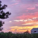 제주 덕수재 이미지