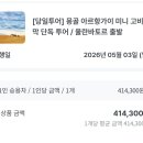 몽골 미니사막 엘승타사르해 후기｜낙타 체험, 가격, 당일투어, 여자 혼자여행