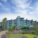 예래작은숲 이미지