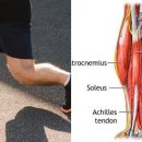 물리치료사가 알려주는 통증관리 이미지