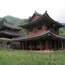 평창 오대산 사고 이미지