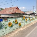 초대1리 이미지