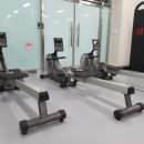 성원체육관 이미지