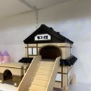 햄스터 분양 햄스터월드 | [공지] 서울 인천 경기도 가볼만 한 곳! 충남 당진 햄스터월드 재방문 후기(아크릴케이지 제일 저렴한 곳!)