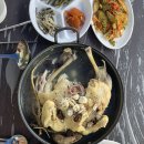 지향가든 | 담양 계곡 평상 닭백숙 맛집 애견동반 지향가든 예약후기