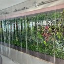 대전화정초교 이미지